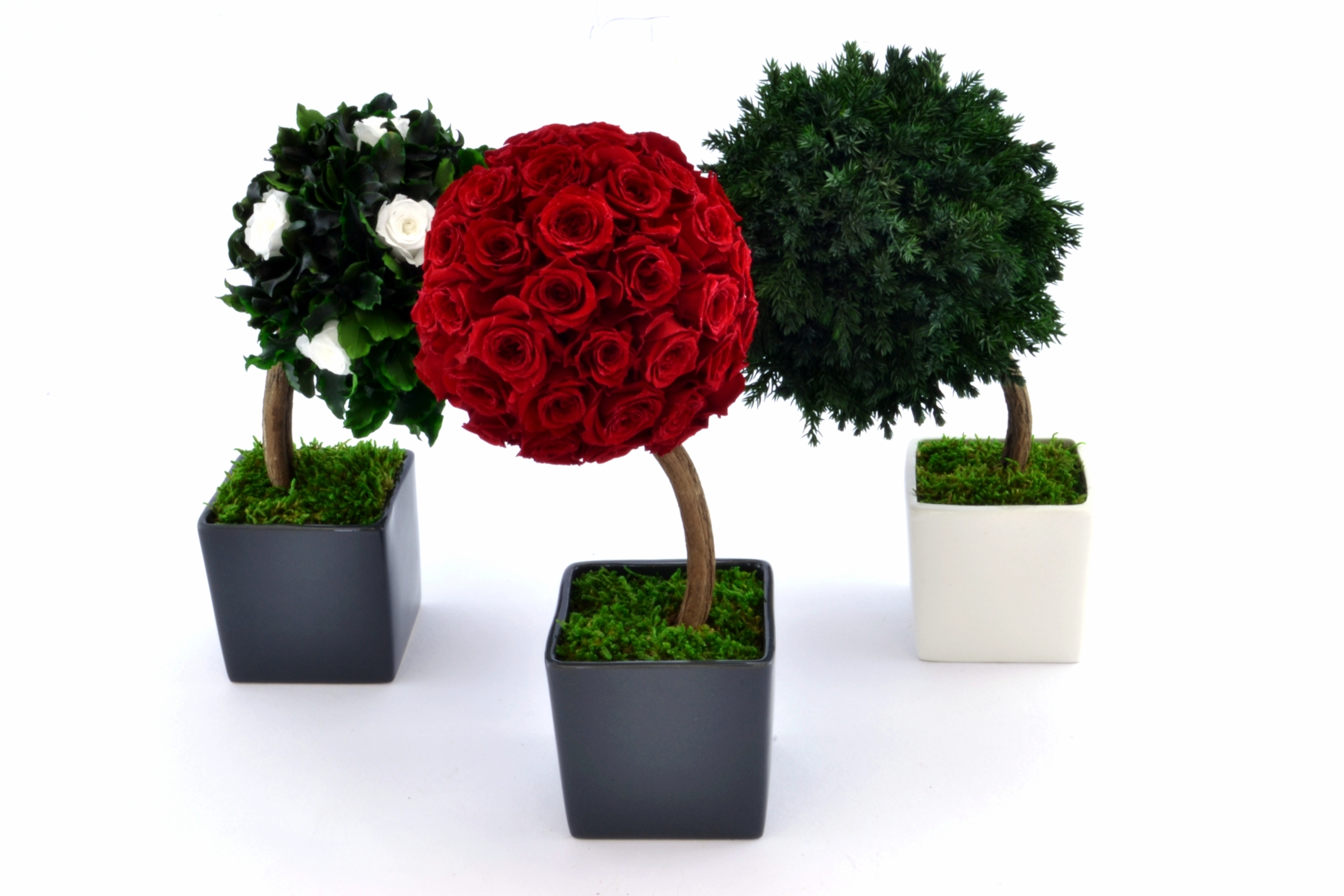 SMERALDINO s.r.o. foto 3