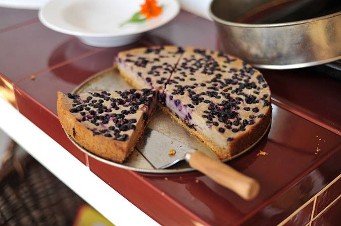 Veggie Garden foto 4