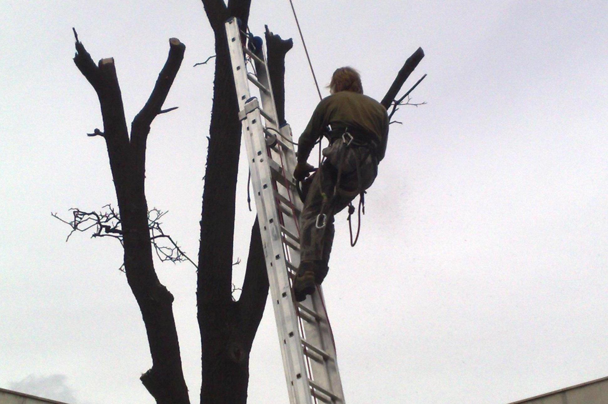 KŘEČEK A PLUNDRA s.r.o.