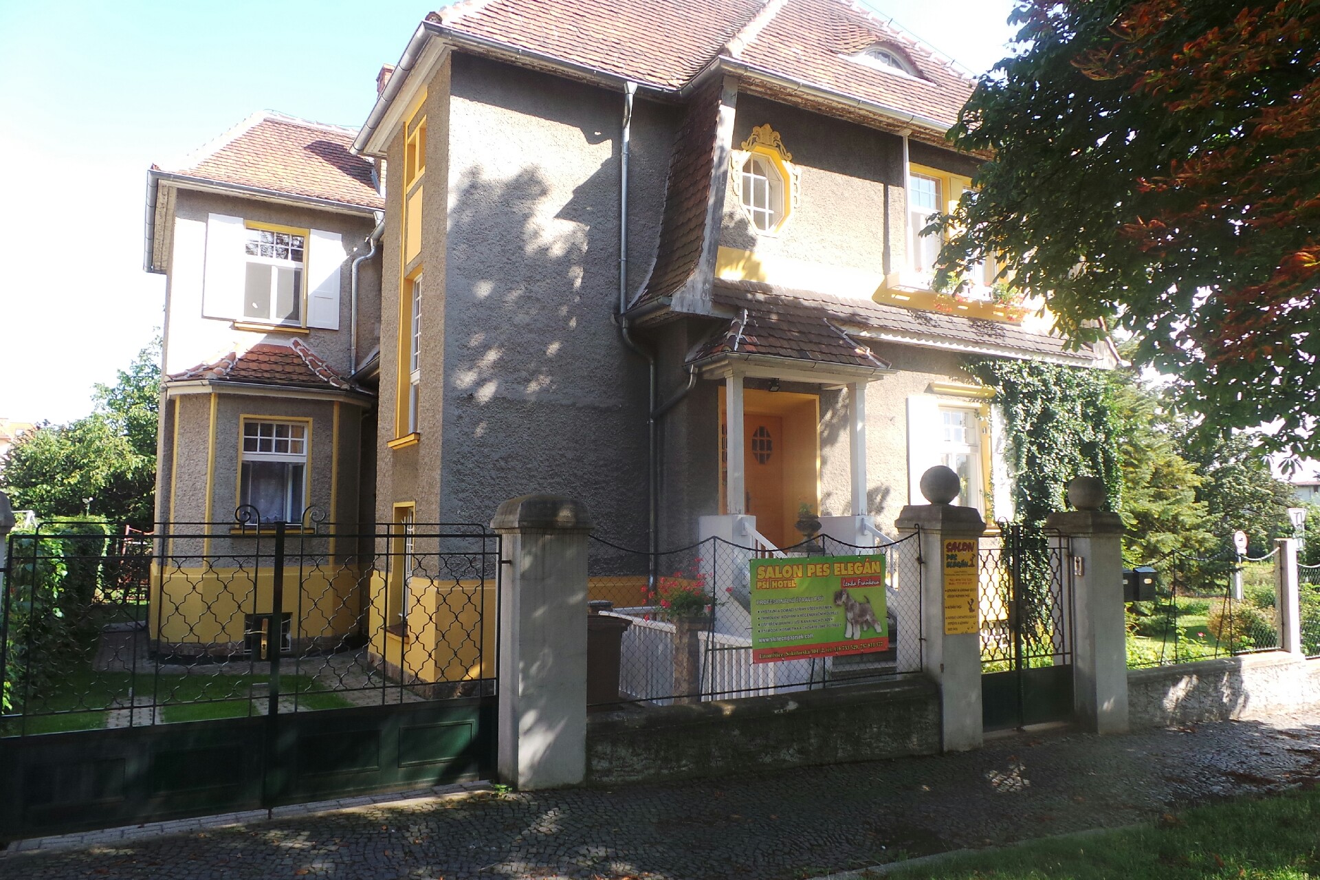 Lenka Fraňková- Salon pes elegán