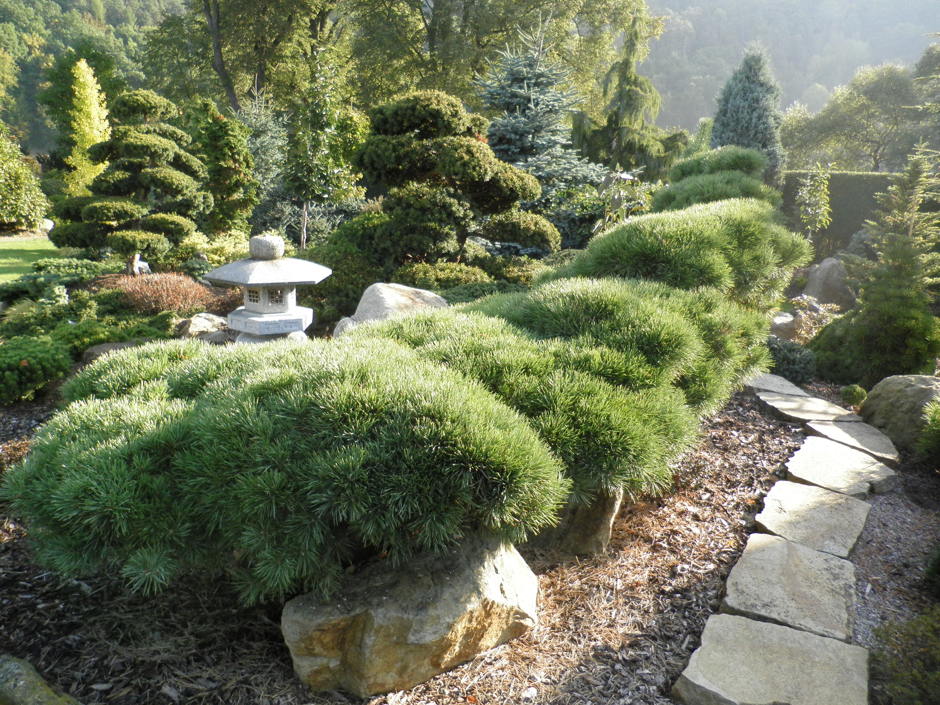 Pavel ČÍHAL - GINKGO - zahradní architektura foto 6