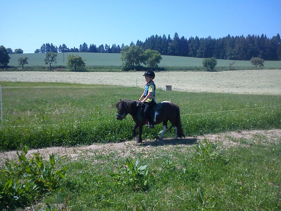 Jezdecký spolek Bělčice foto 5