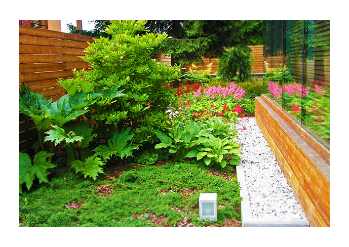 Creative Garden Productions foto 2