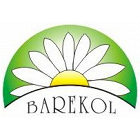 BAREKOL ABE krém na vrásky s retinolem 50ml v obchodě Barekol.cz