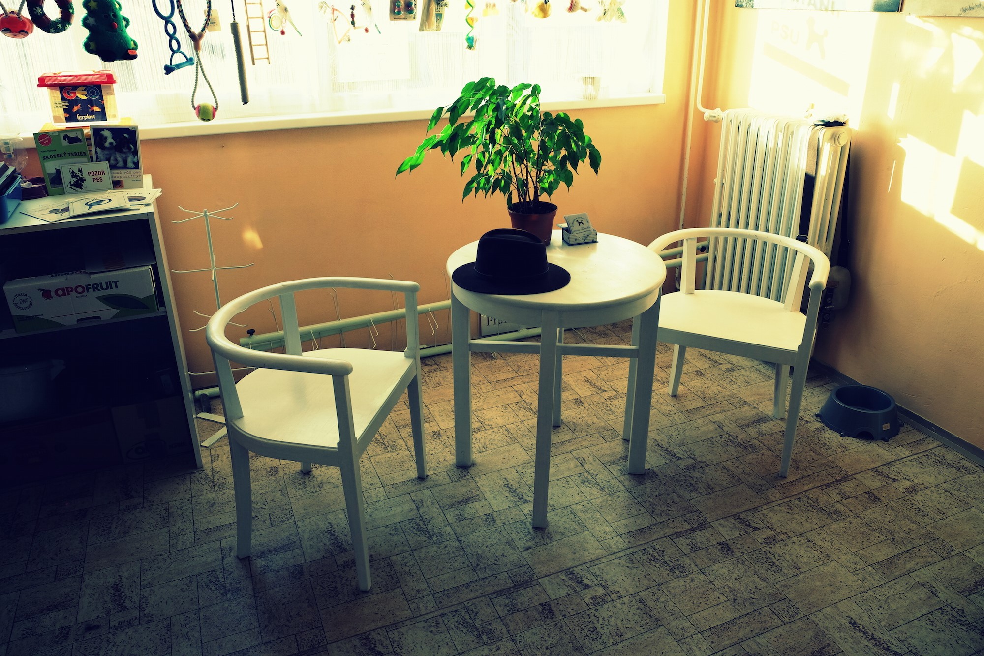 Salon Zorka - Ing. Dagmar Halířová foto 2