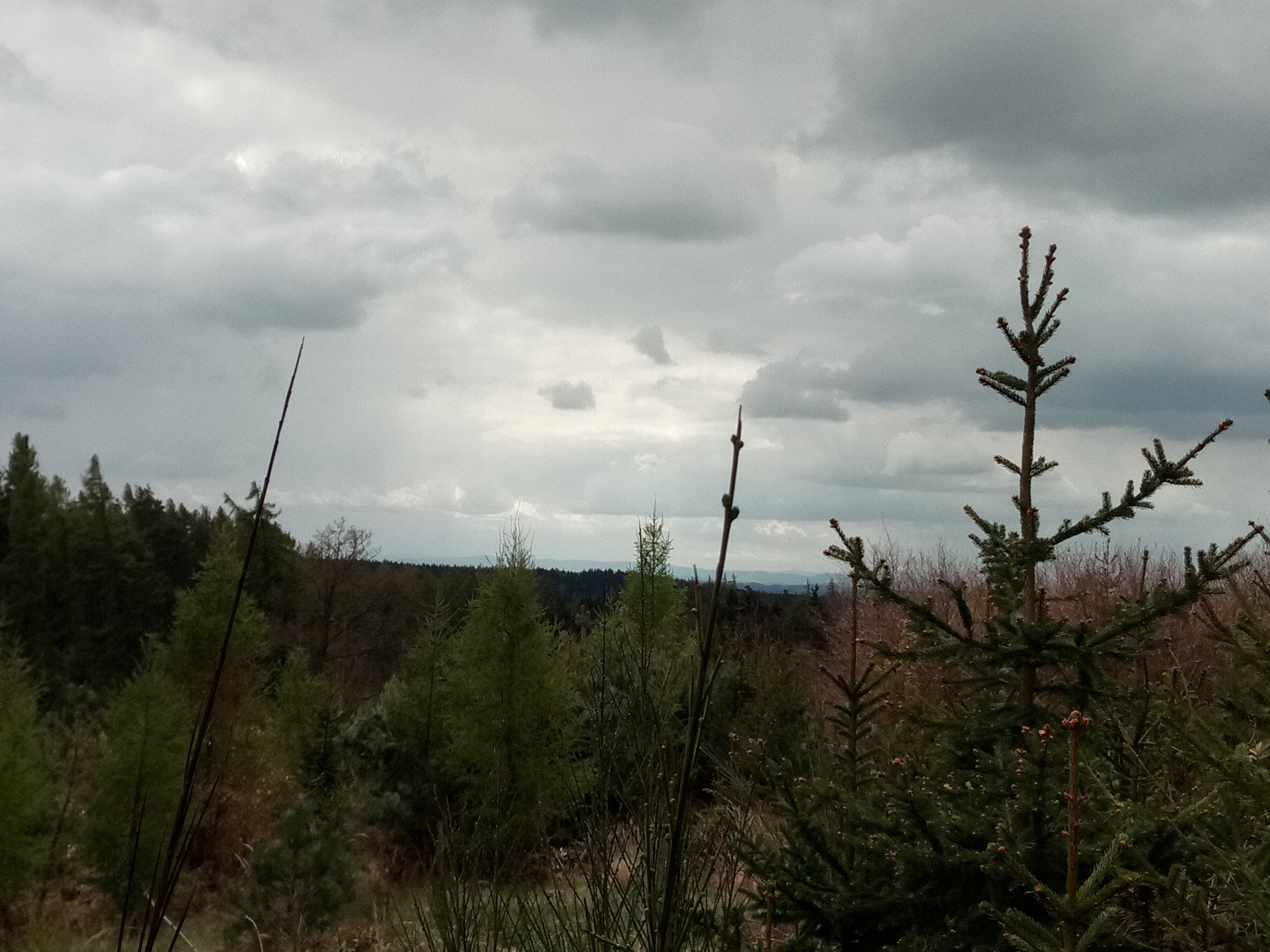 Jezdecký spolek Bělčice foto 1