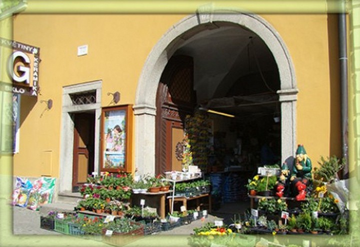 Ing. Karel Gregor - G - květiny a dárkové zboží foto 2