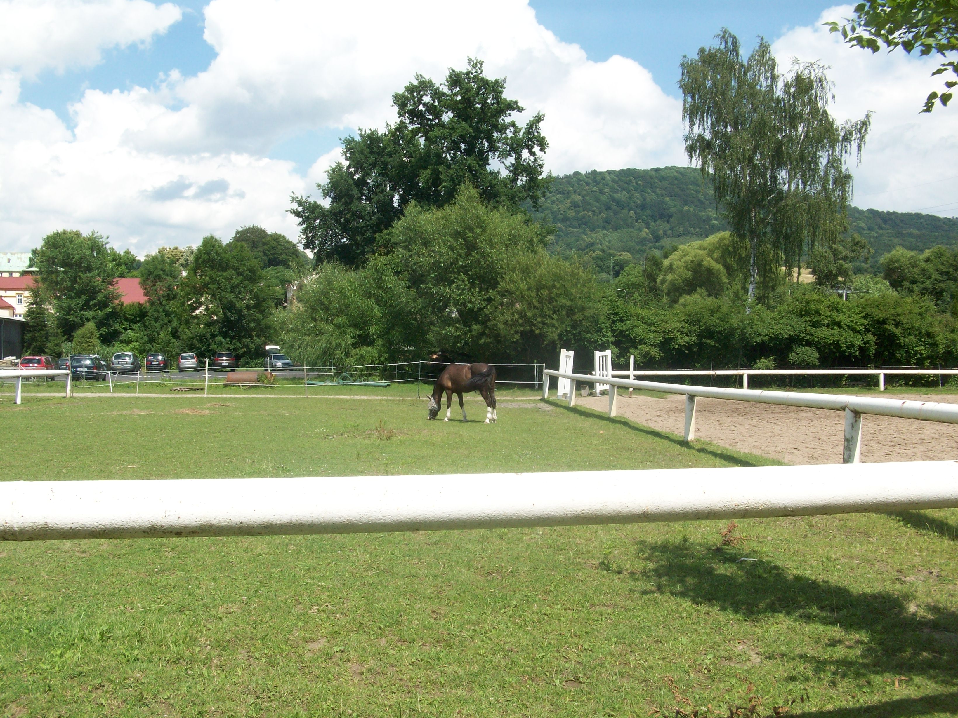 Jezdecký klub Větrný Ranč Rychnov foto 3