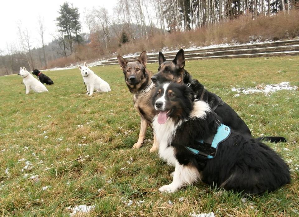 Pavlína Málková foto 2