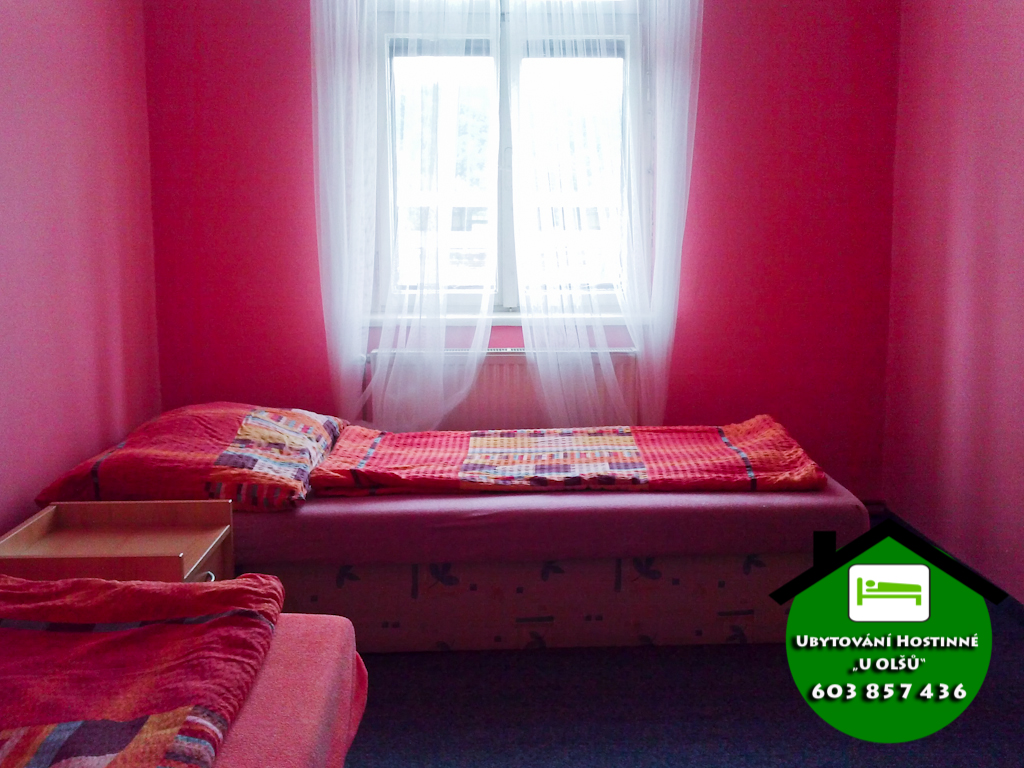 Ubytování v Hostinném foto 3