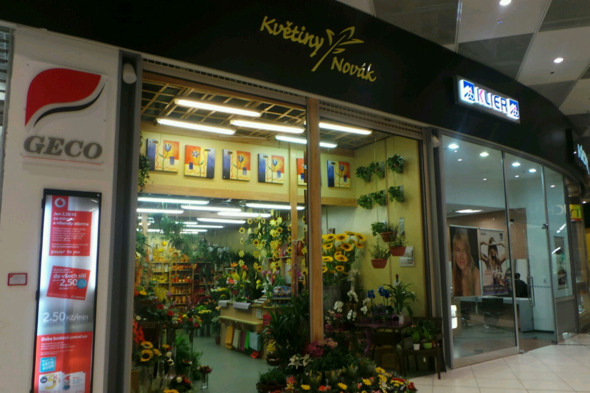 Květiny Novák foto 2