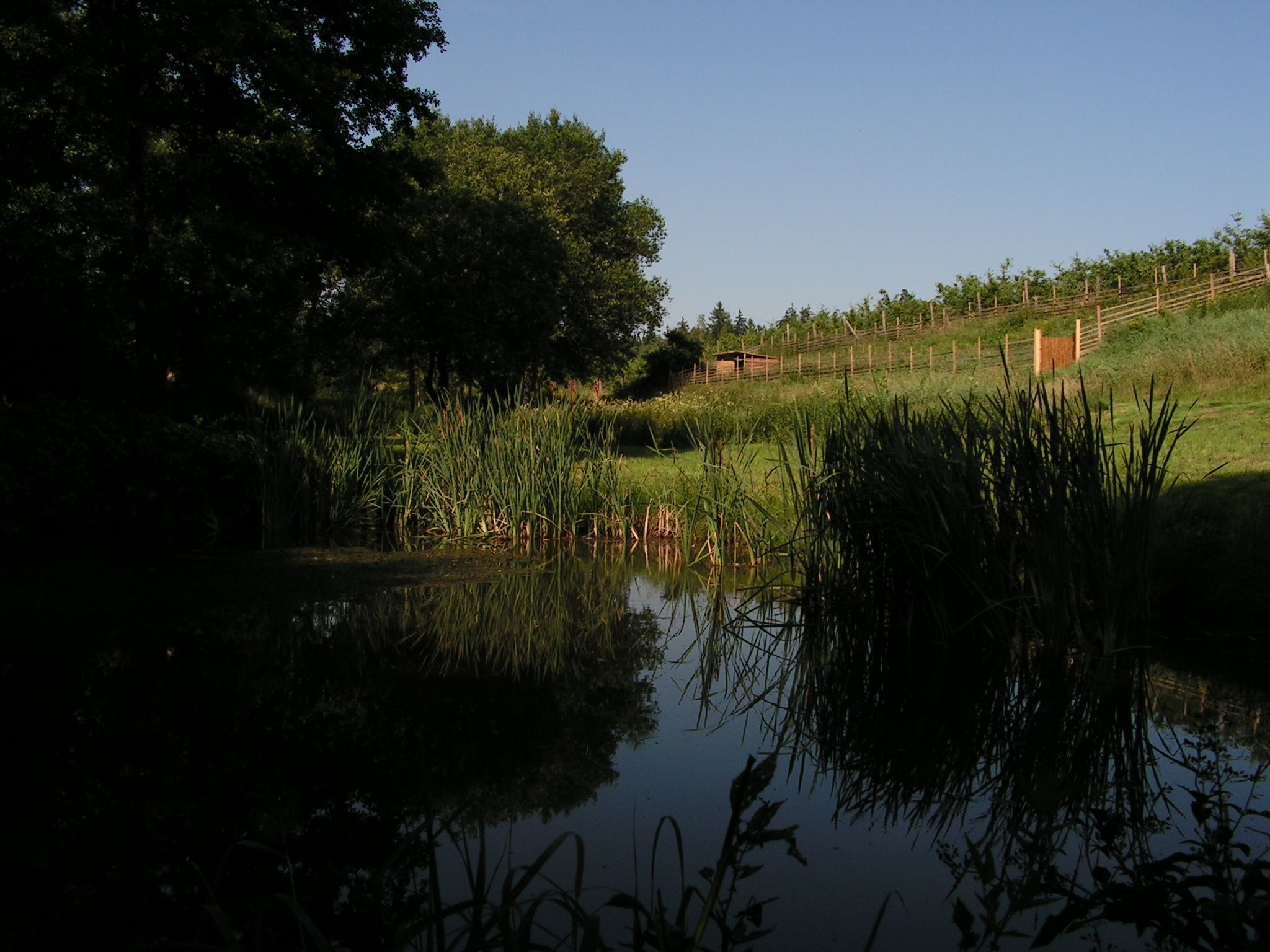 Stonewood - přírodní relaxačně naučný komplex foto 3