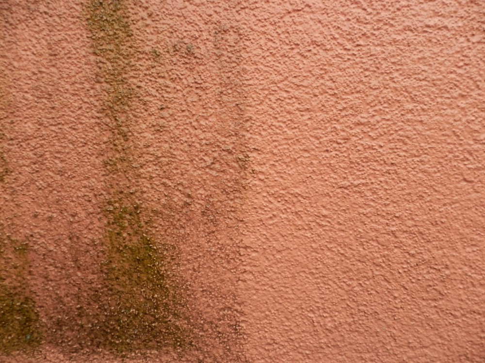 Čištění fasád - Jiří Zelený foto 3