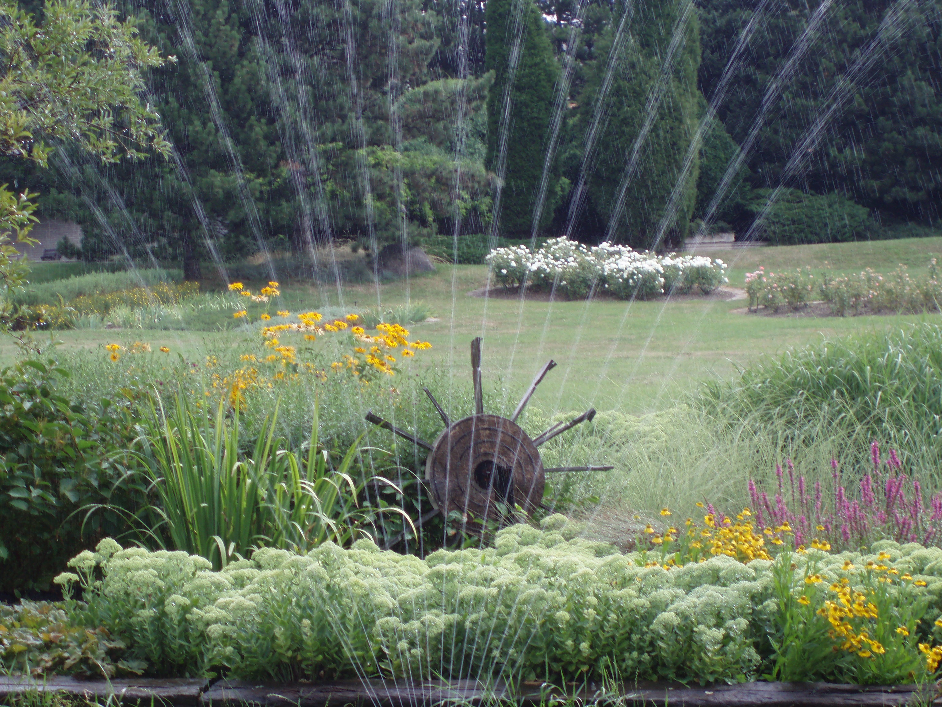 Mendelova univerzita v Brně - Botanická zahrada a arboretum foto 3