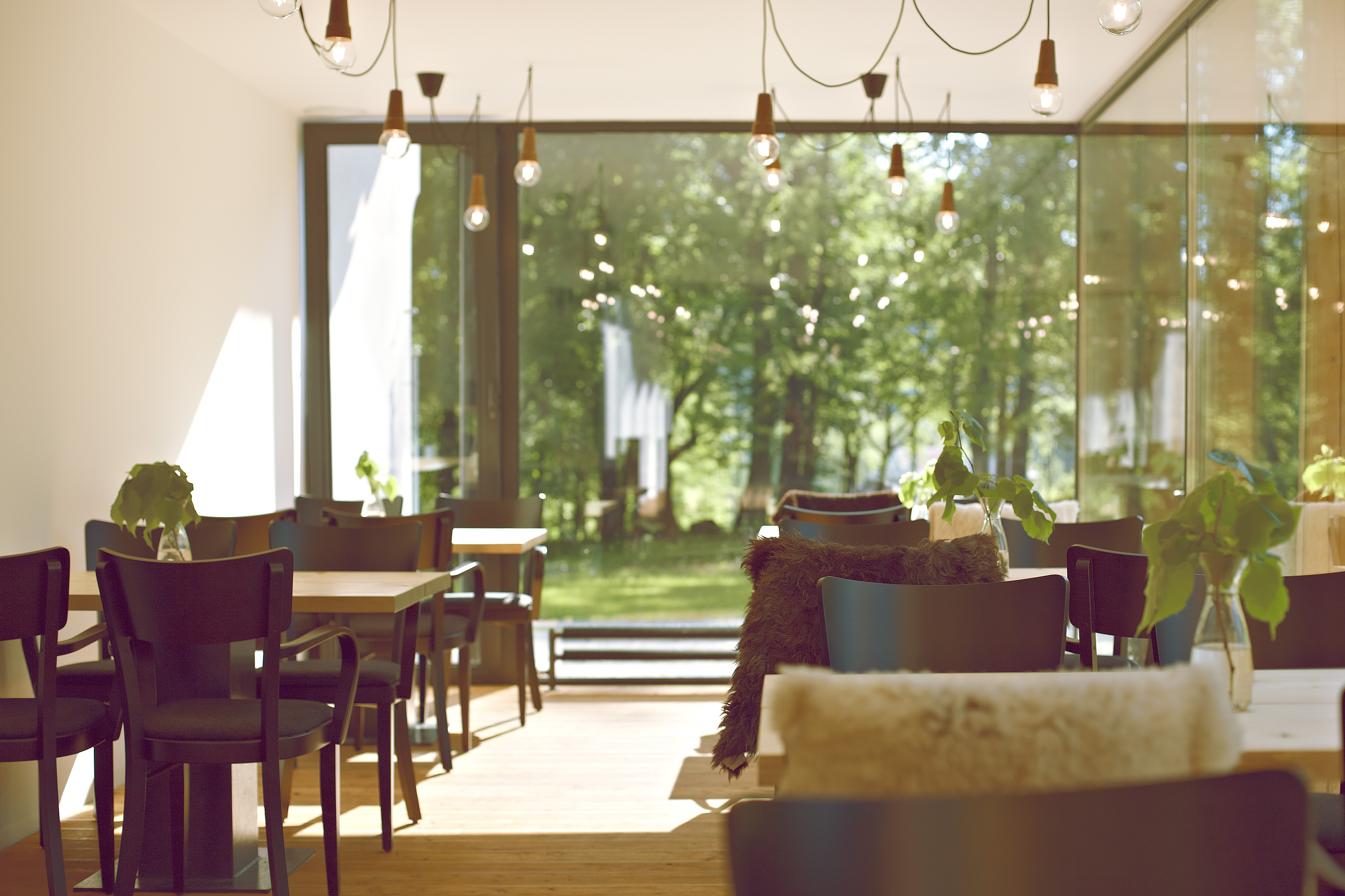 Restaurace Rekovice foto 5