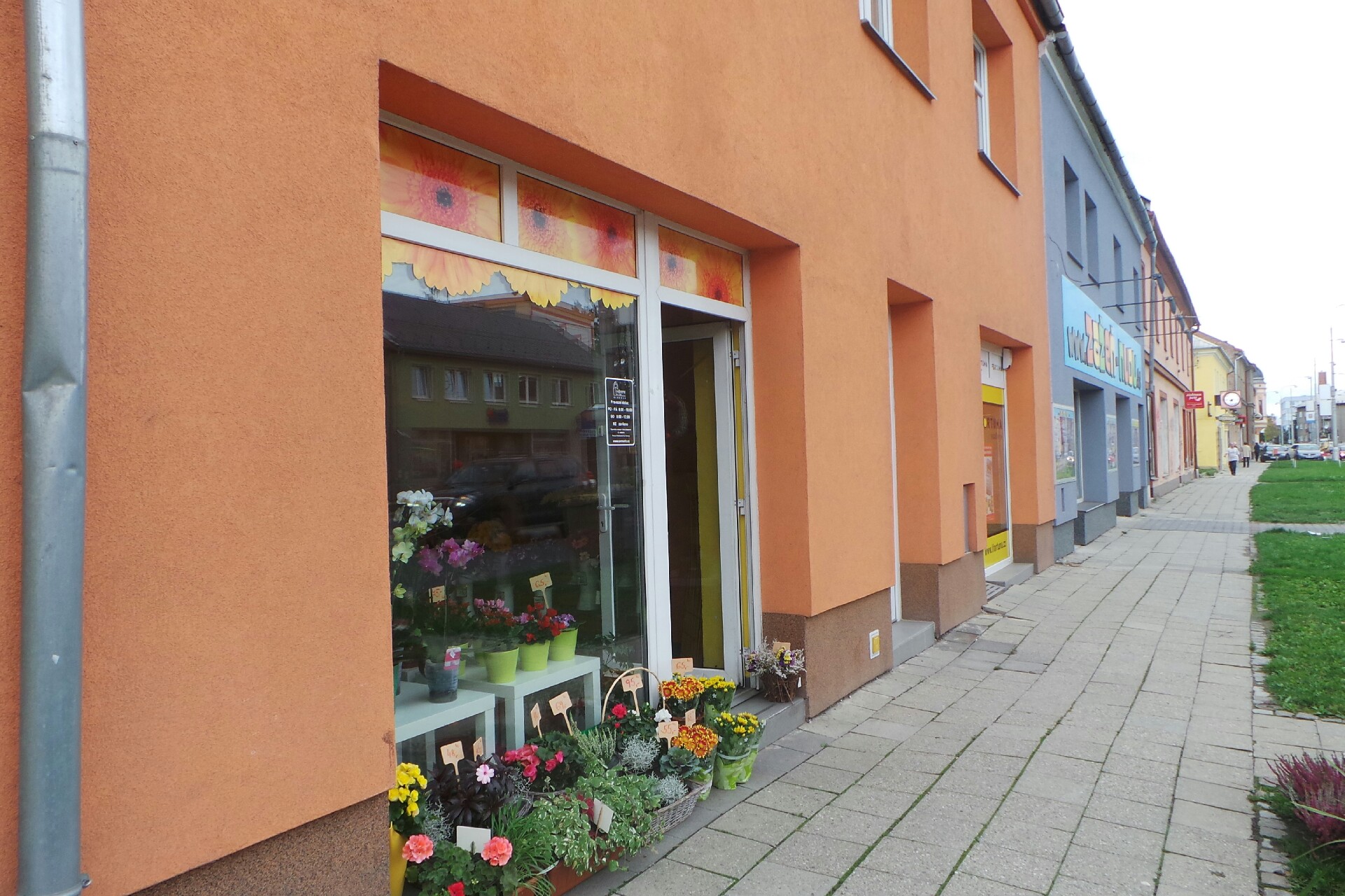 Florists Olomouc District e-shop • Firmy.cz