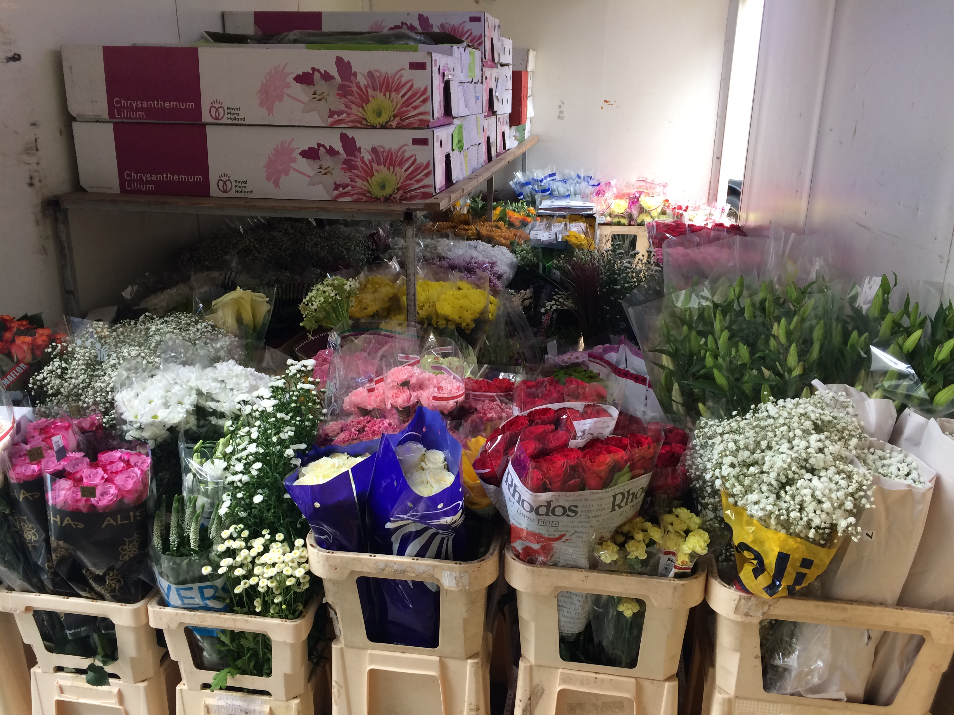 Michal Merčák Bo Flor foto 2