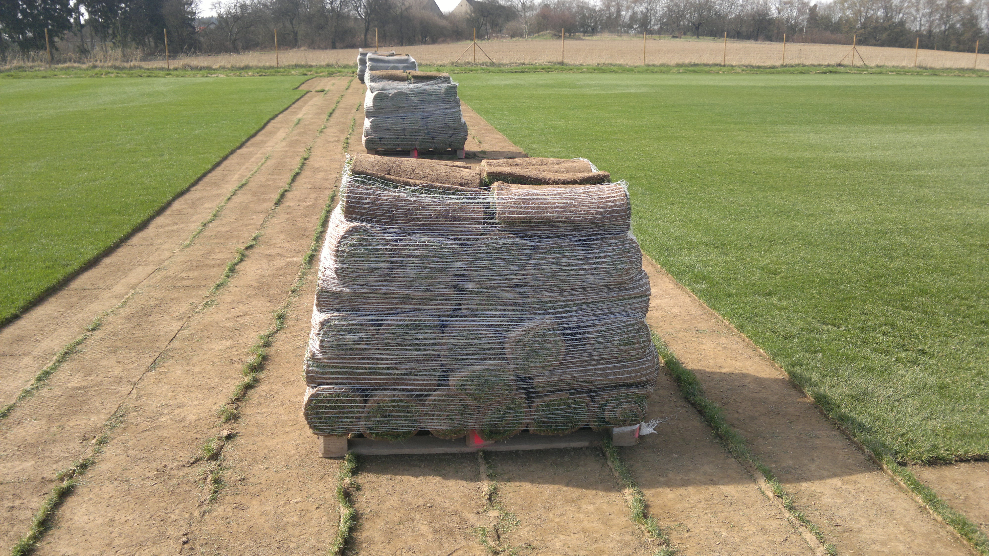 KMV - Travní a luční koberce foto 3