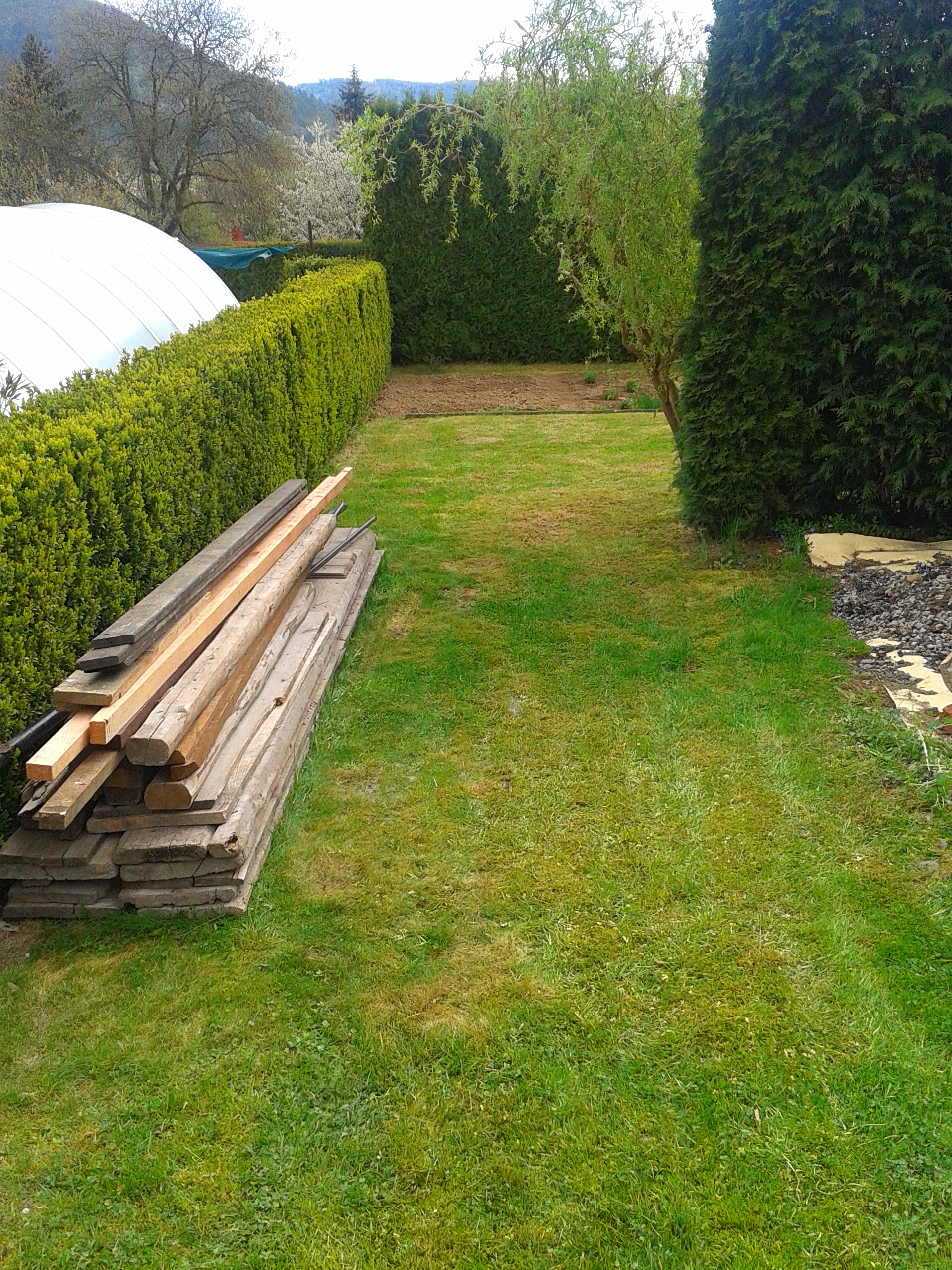 Hodinový manžel Martin Čechovský foto 3