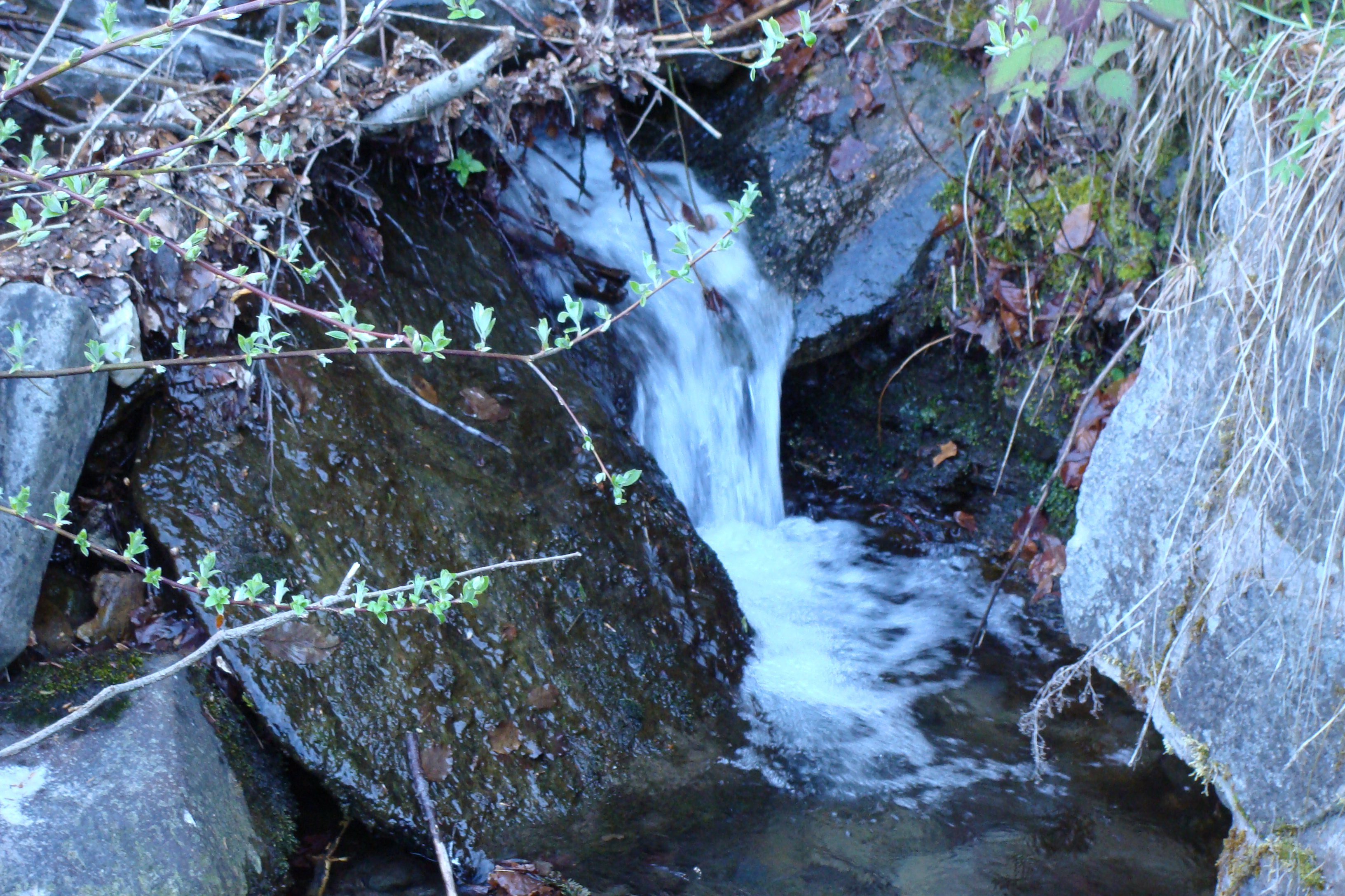 Hotel pod Pralesem foto 3