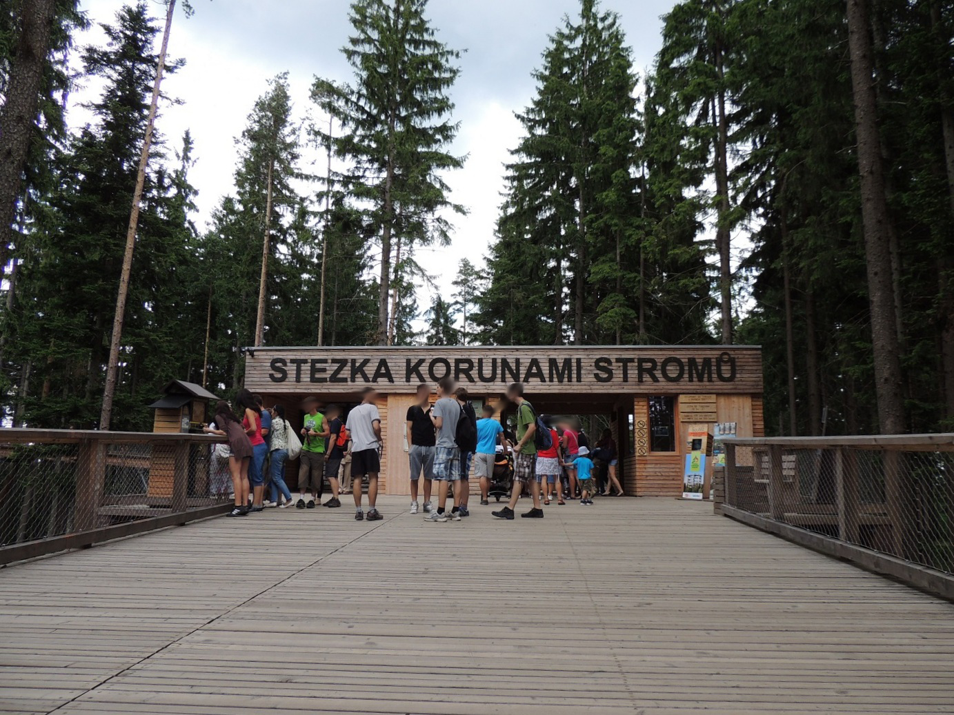 Stezka korunami stromů foto 3