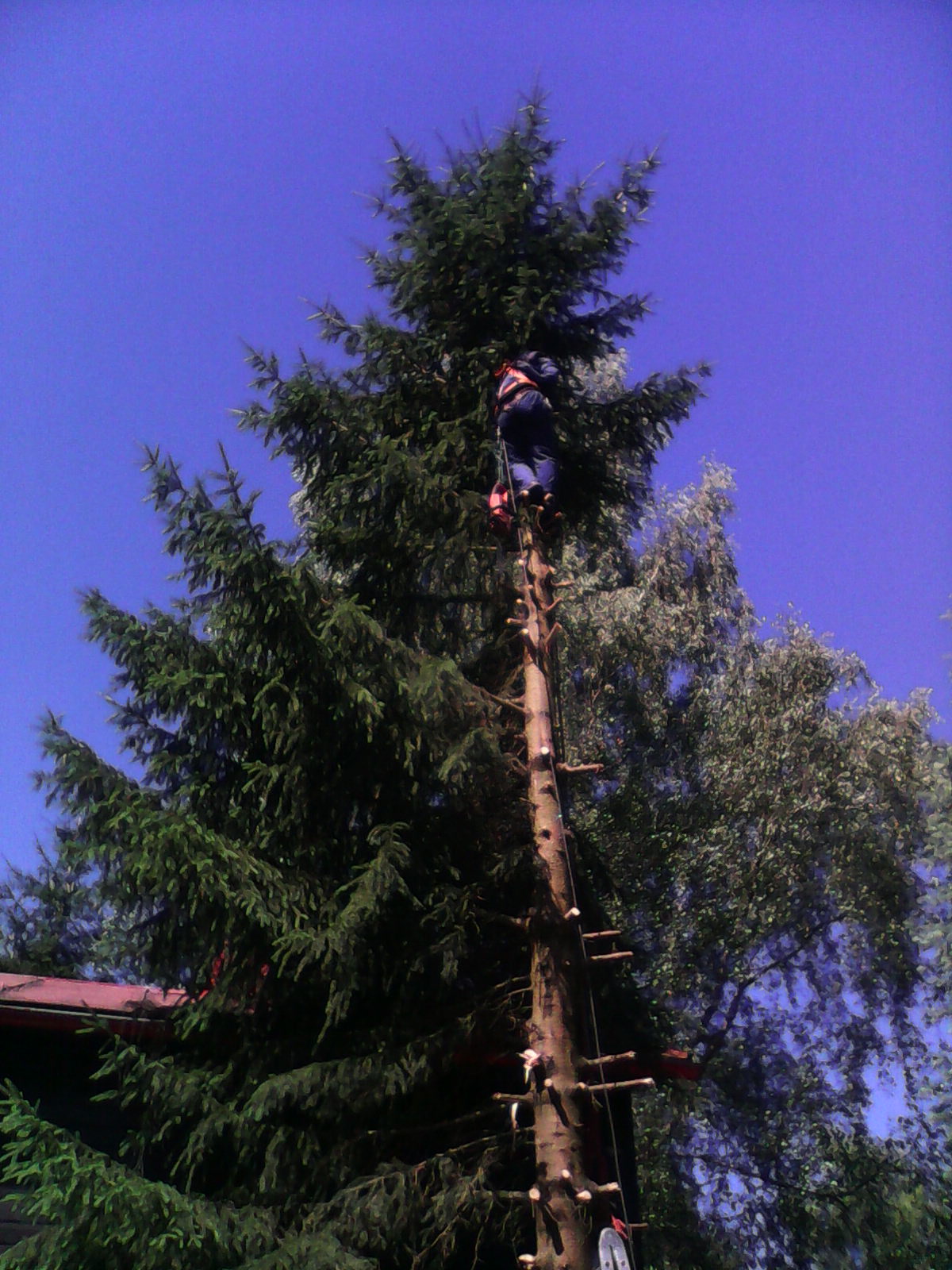 Jan Šír foto 2