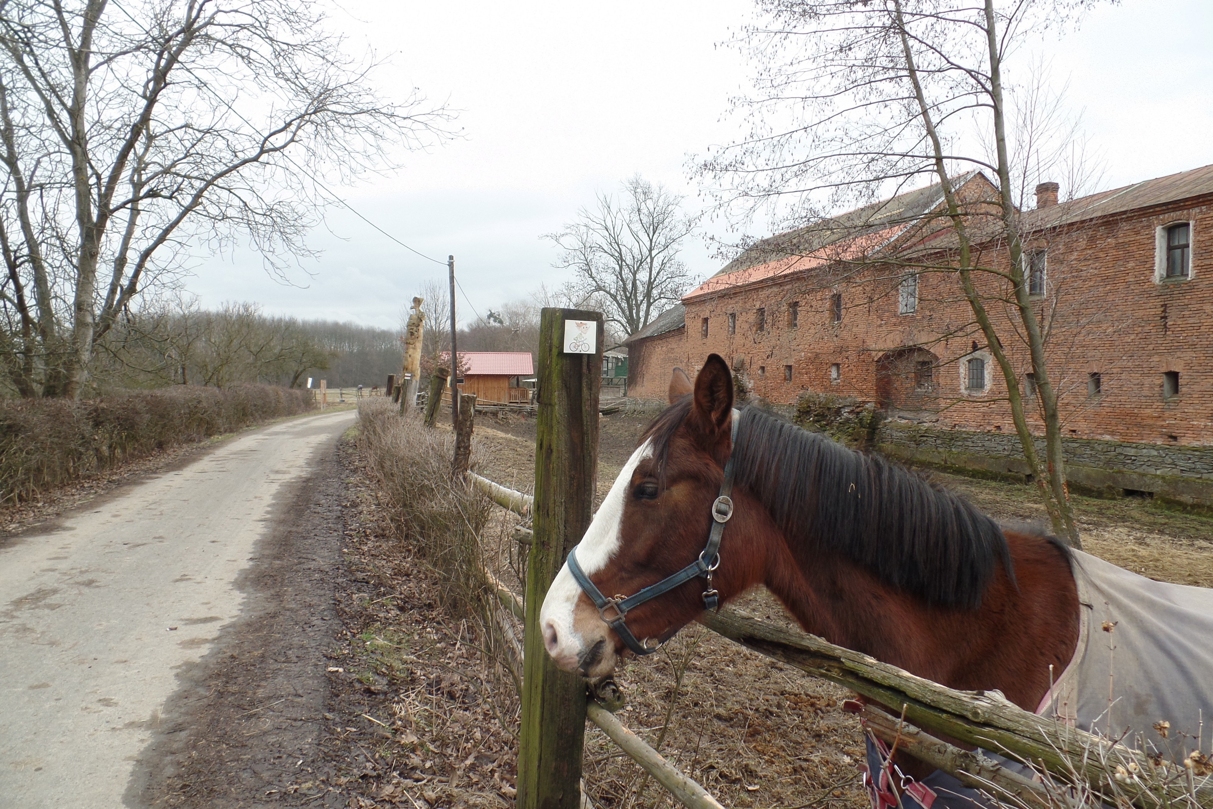 Hanácký jezdecký klub Litovel foto 2