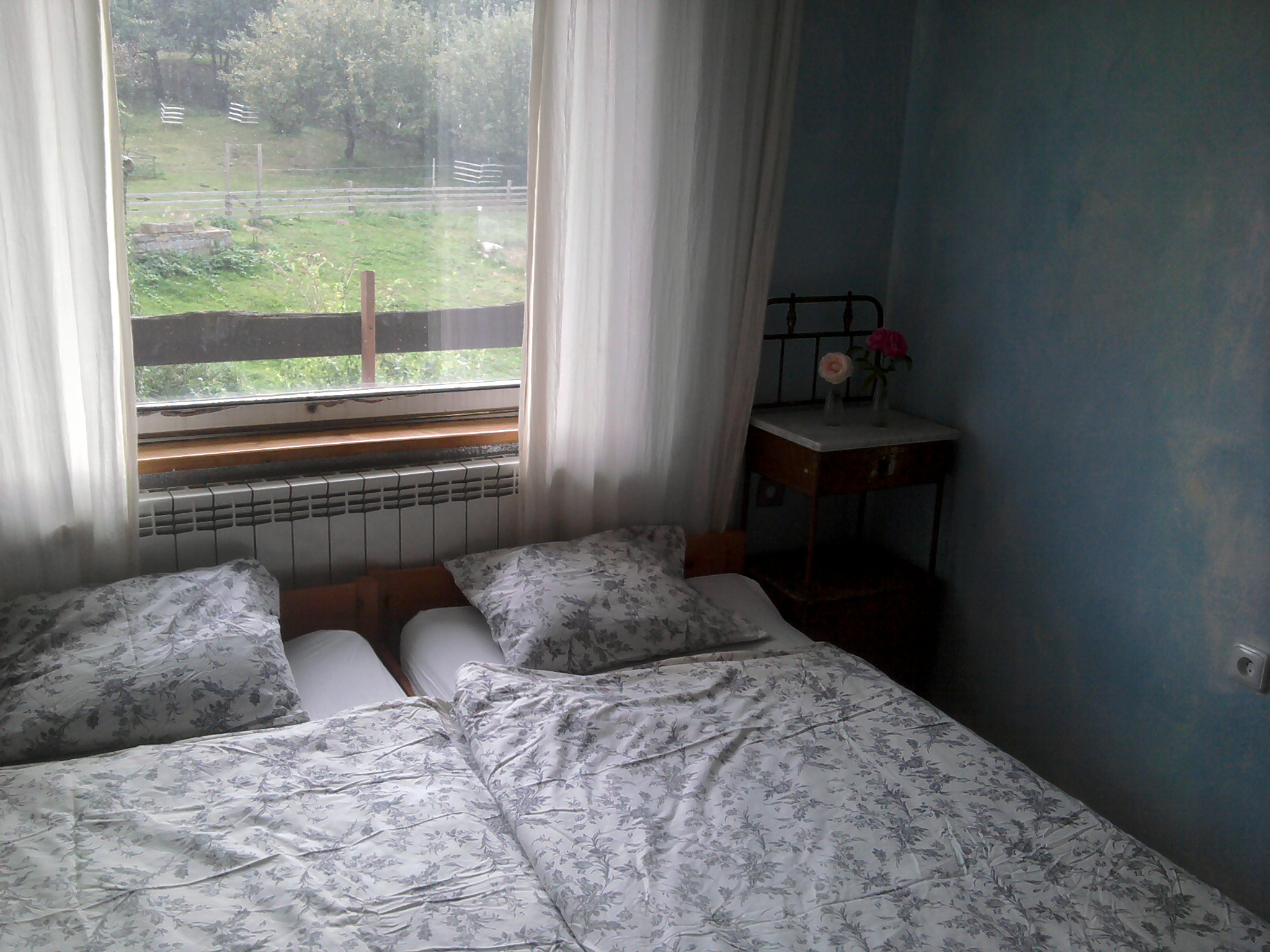 Ke kořenům, s.r.o. foto 1