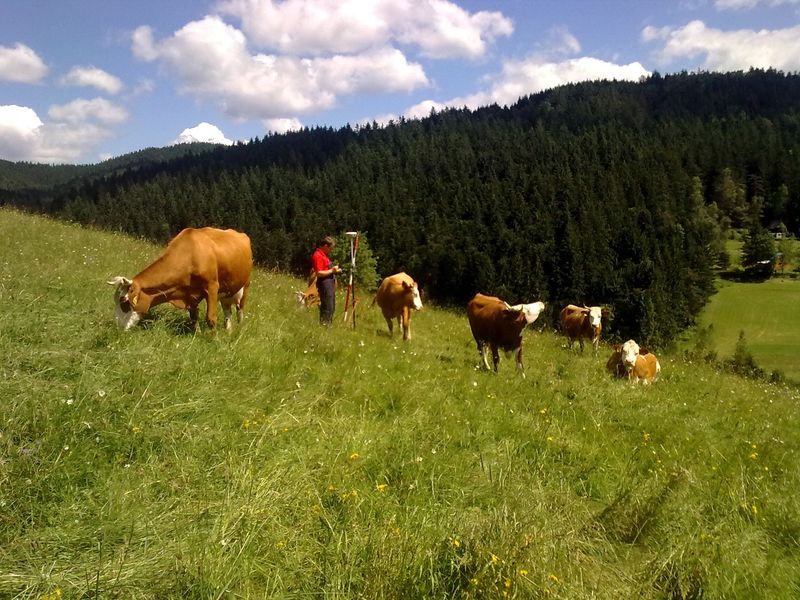 Geoman Geodetická a kartografická kancelář foto 4