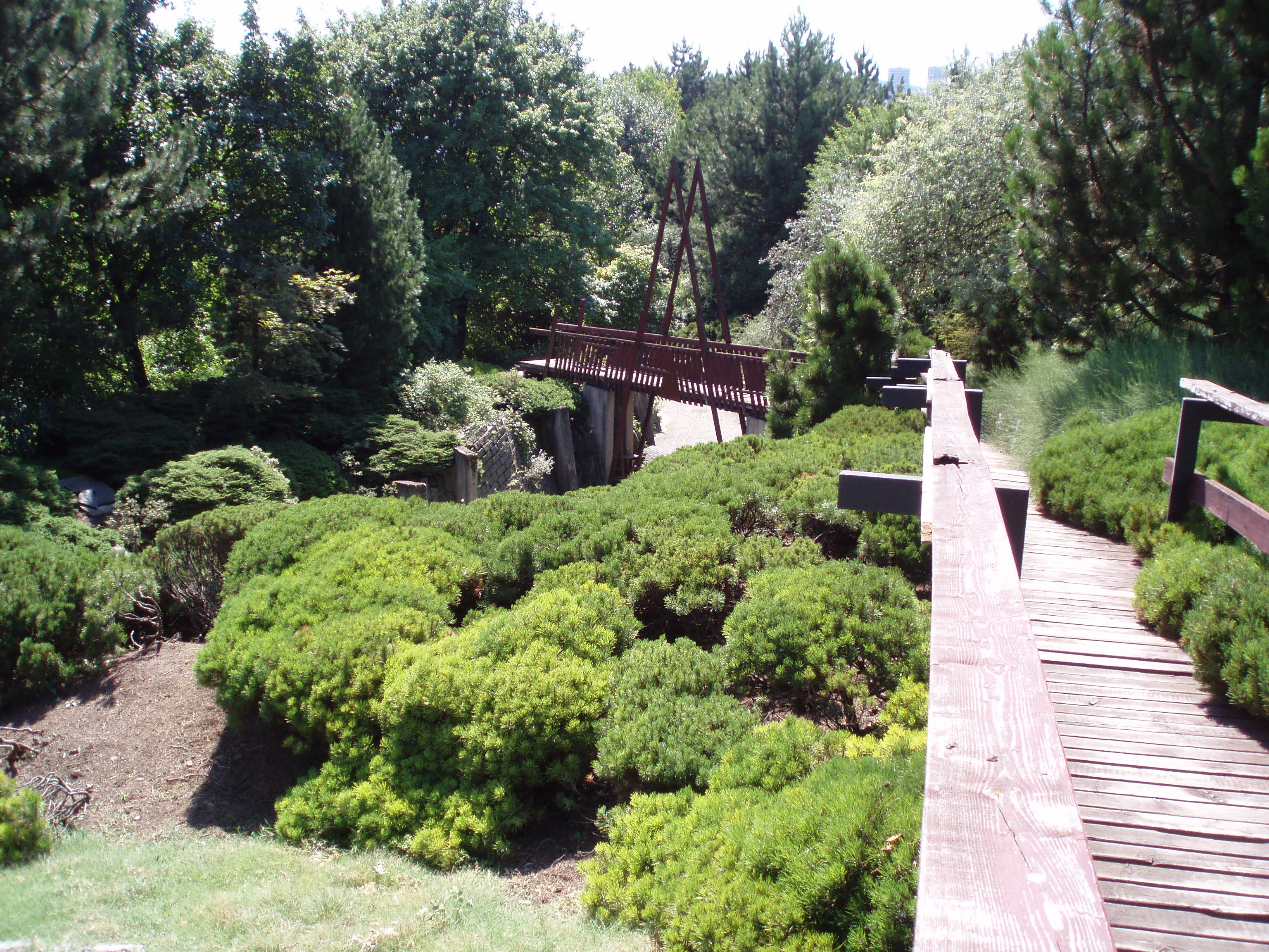 Mendelova univerzita v Brně - Botanická zahrada a arboretum foto 2