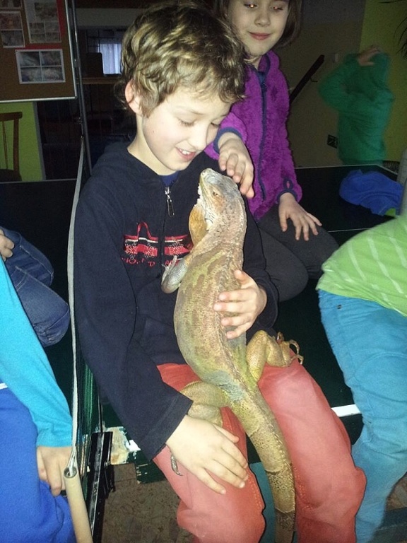 Dům dětí a mládeže Sova Cheb foto 4