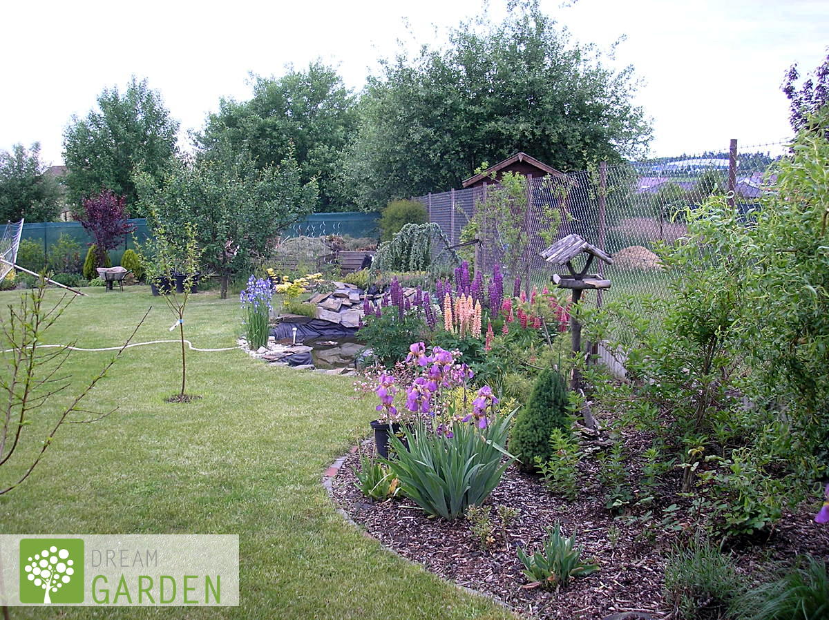 Dream Garden foto 3