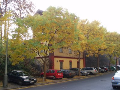 Ing. Martin Stránský