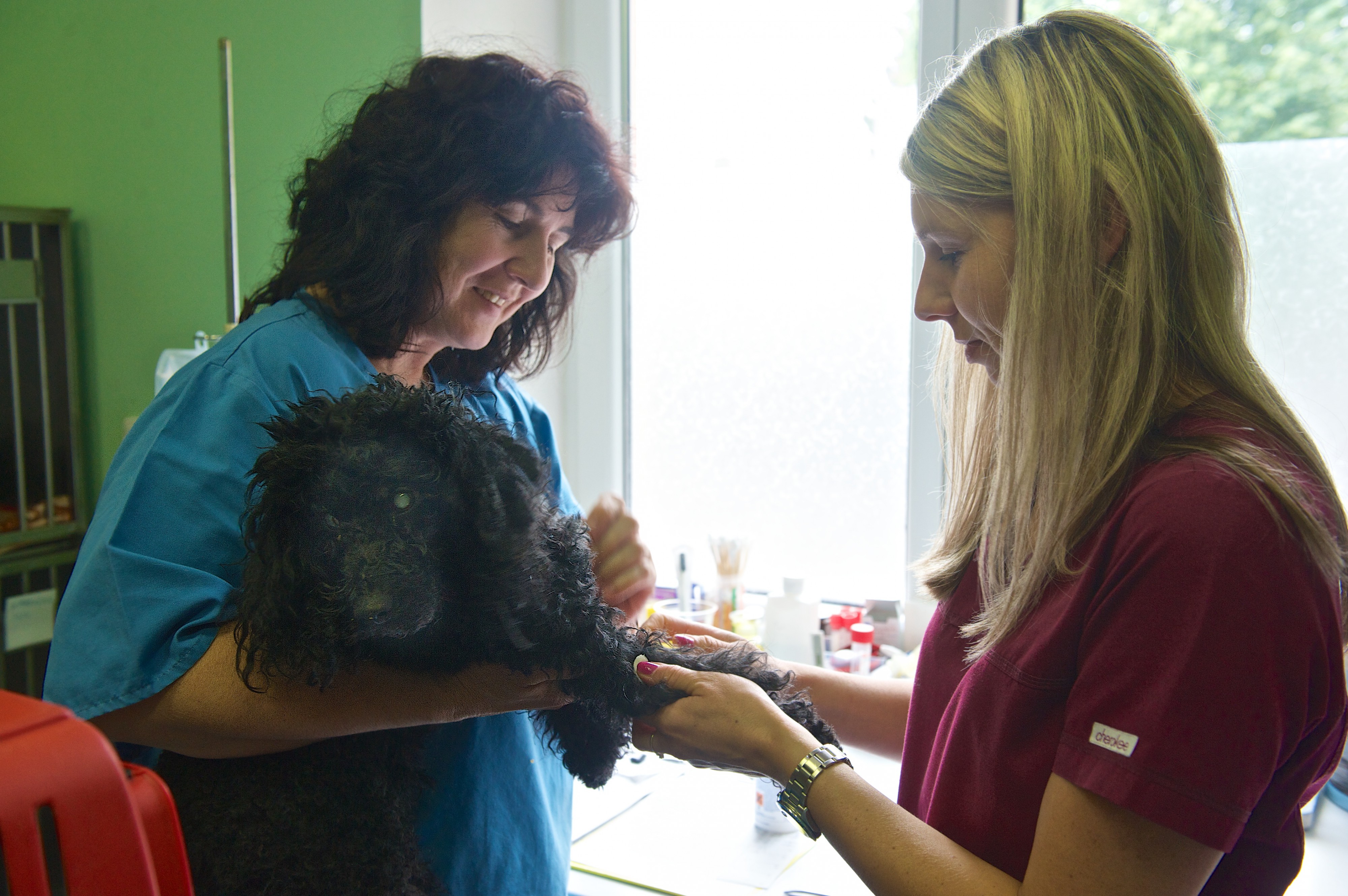 Veterinární klinika IVET foto 2