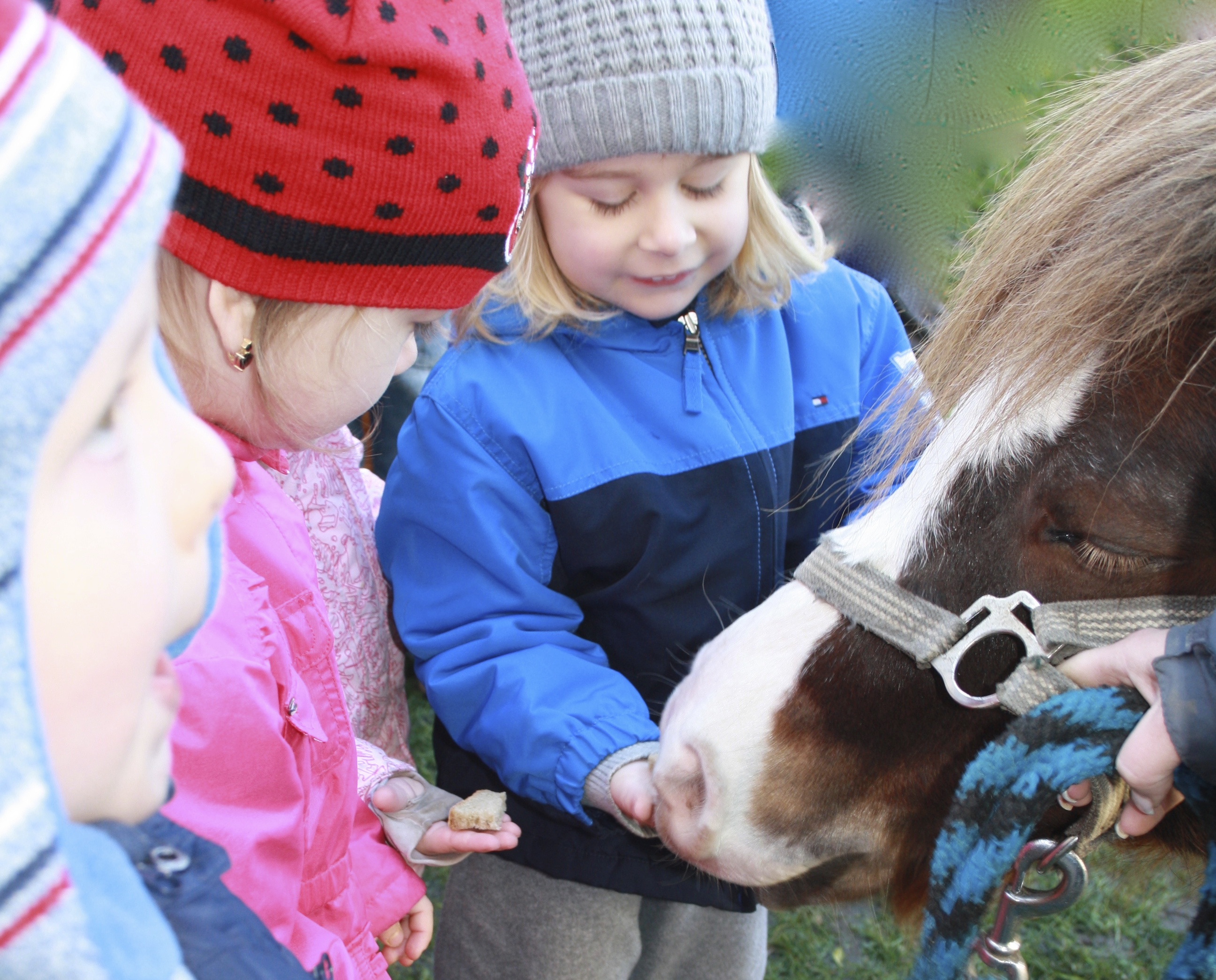 MALÍČKOV s.r.o. - Soukromá anglická školka a jesle foto 4