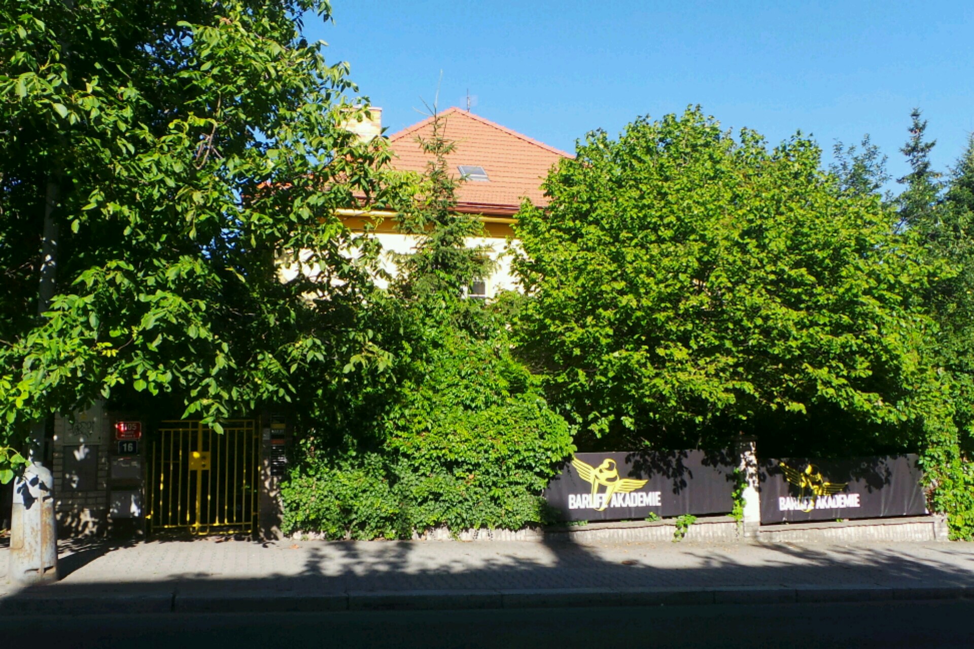 Ponnie jezdící koník foto 1