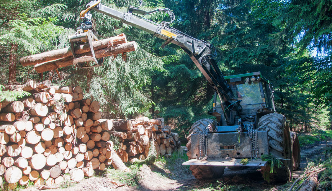 Lesnictví Říha foto 4