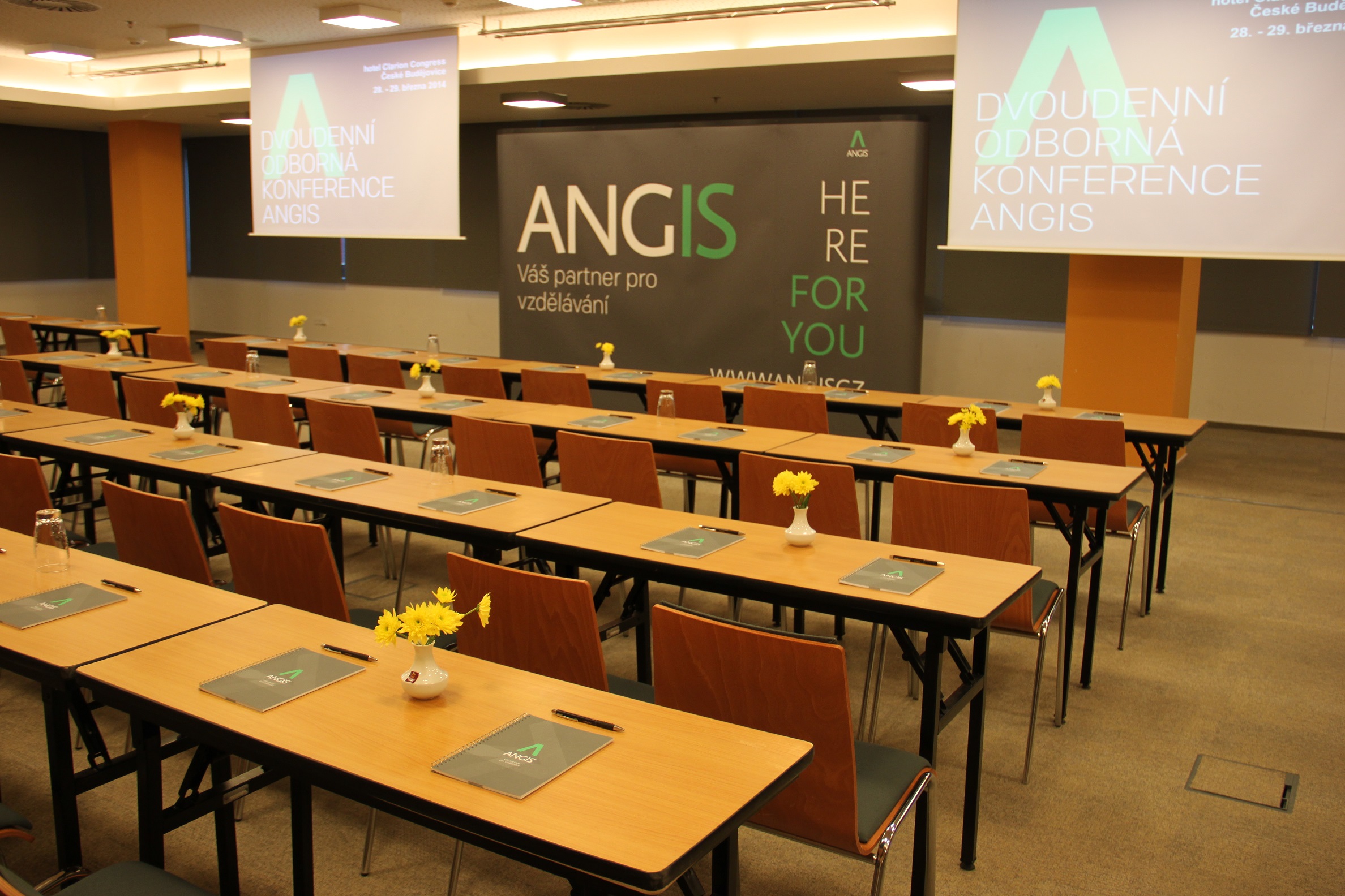 Konference Angis foto 4
