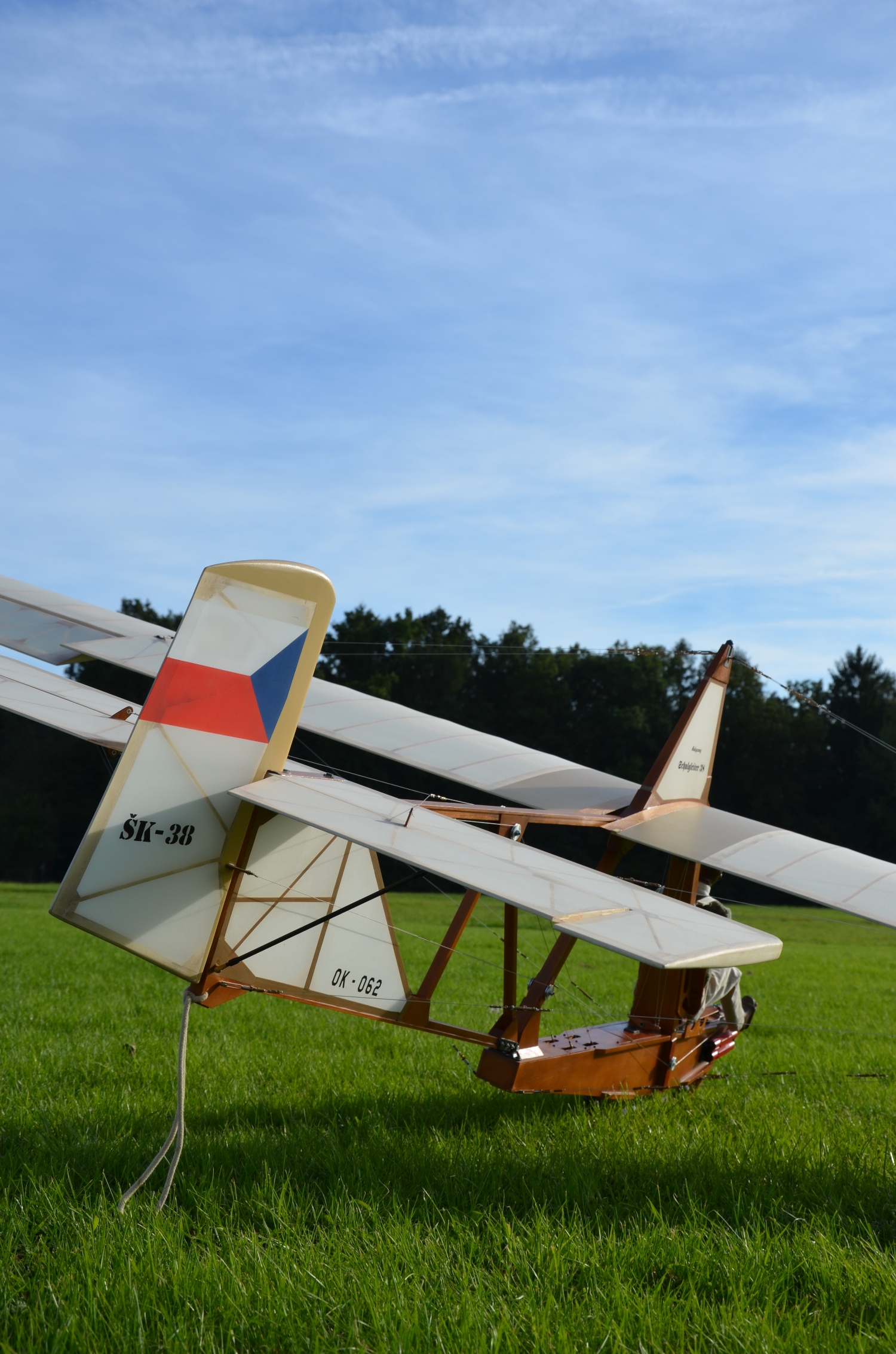 BLL model foto 1