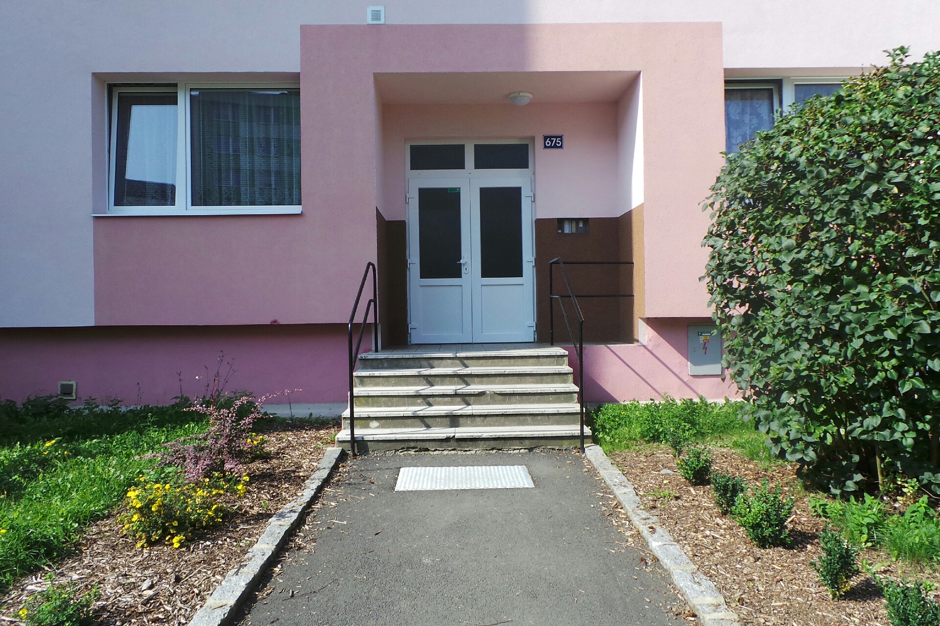 Jana Dragounová, DiS.