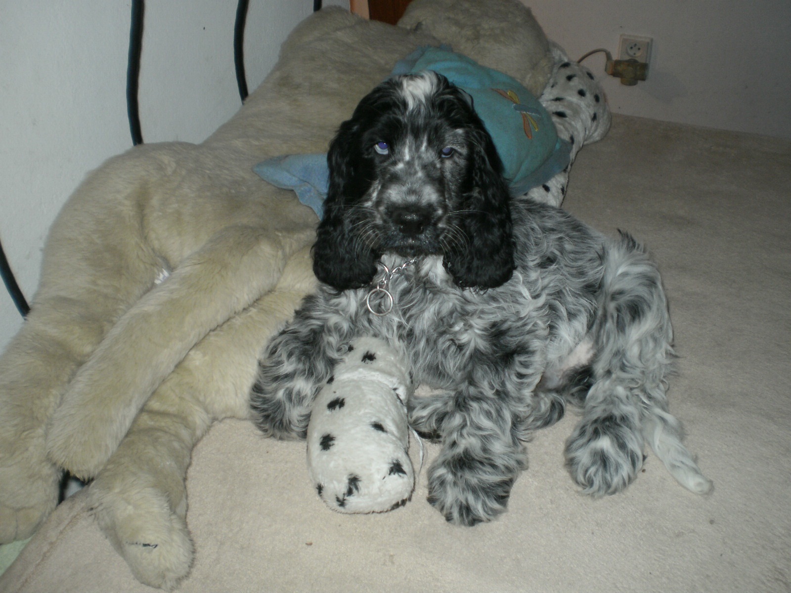 ZE - CAT, s.r.o. foto 4