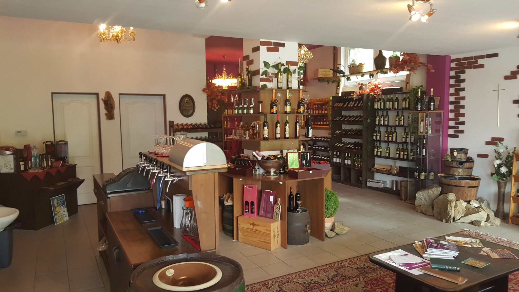 ČIČI CLUB FALKNOV s.r.o. foto 4