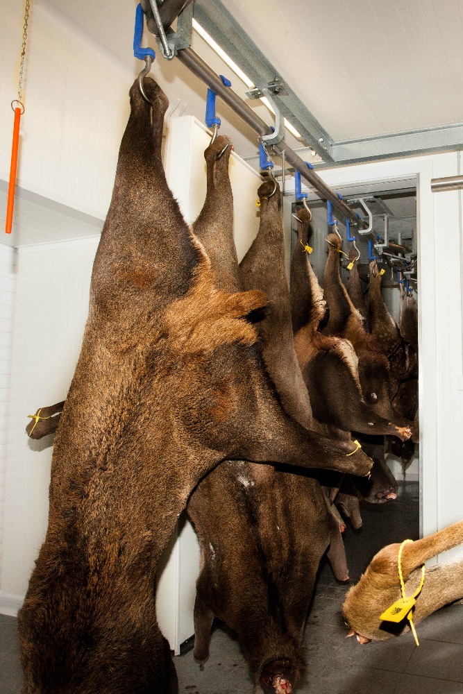 Zpracovna zvěřiny Horseplain, s.r.o. foto 3