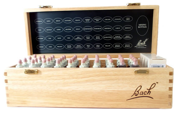 Bachovky Praha - Ludmila Salemová foto 2