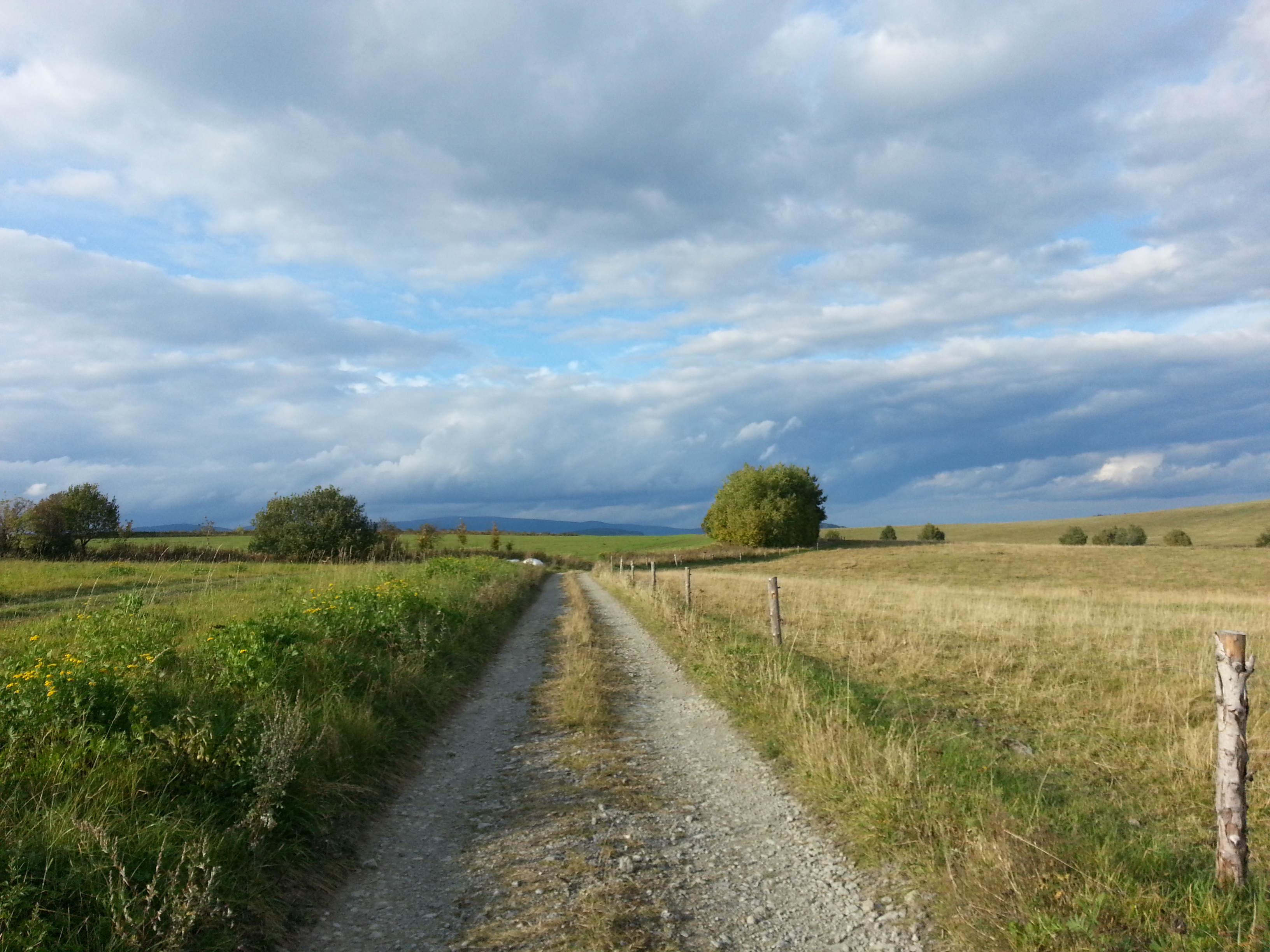 Středisko volného času Rýmařov, okres Bruntál foto 4