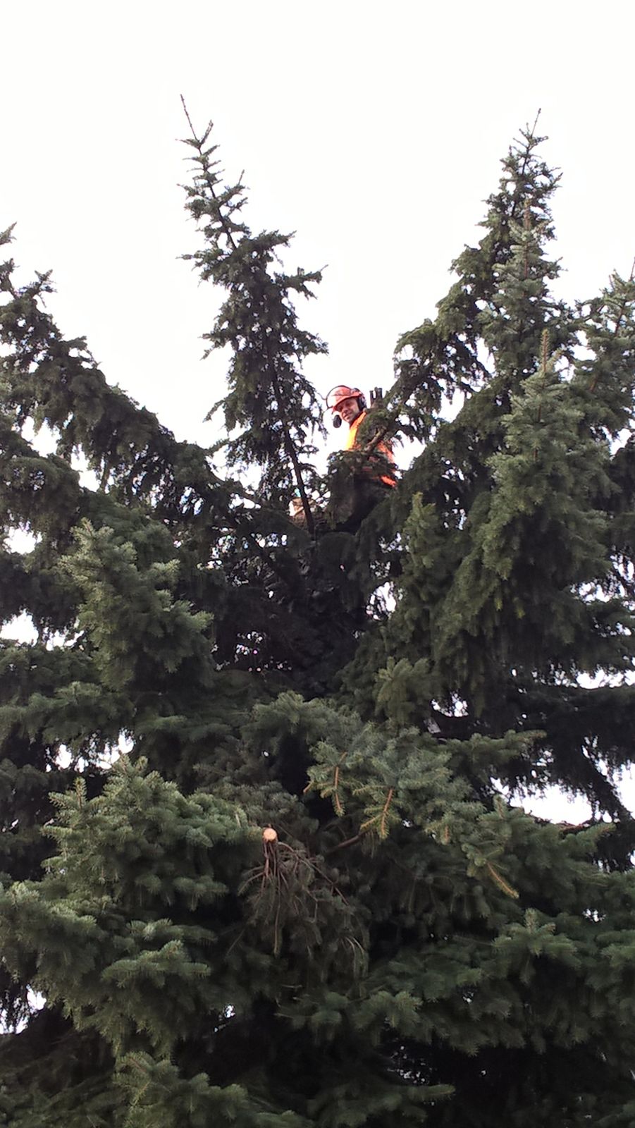 Údržba zeleně - Milan Zoubek foto 3