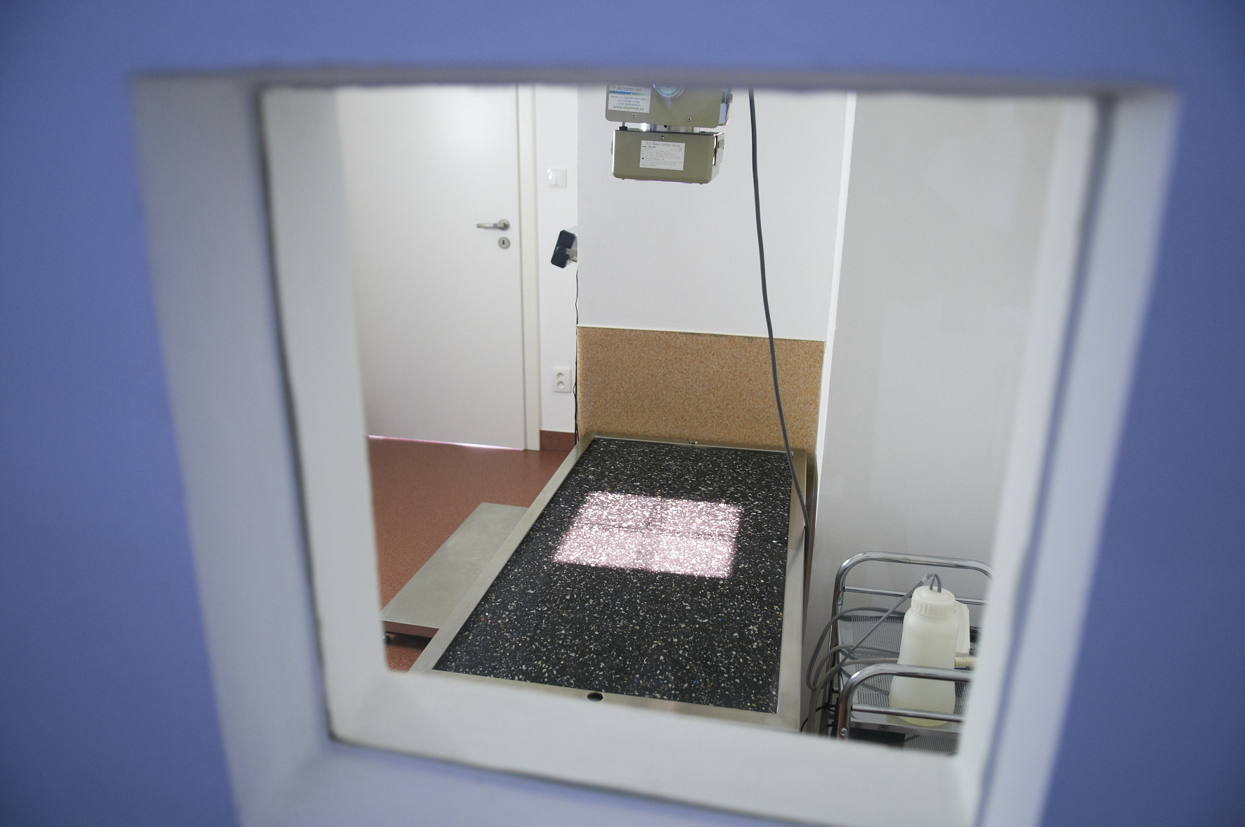 Veterinární klinika Michle - MVDr. David Jíra foto 5