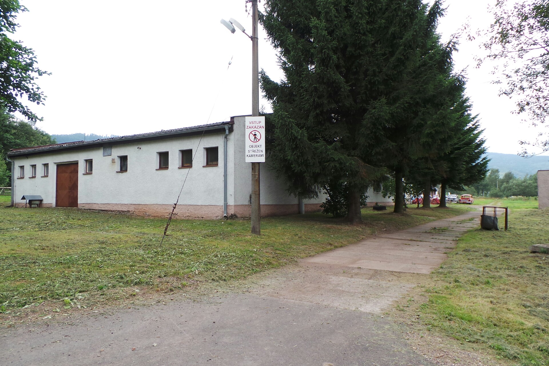 Ocelot Roman Jirouš