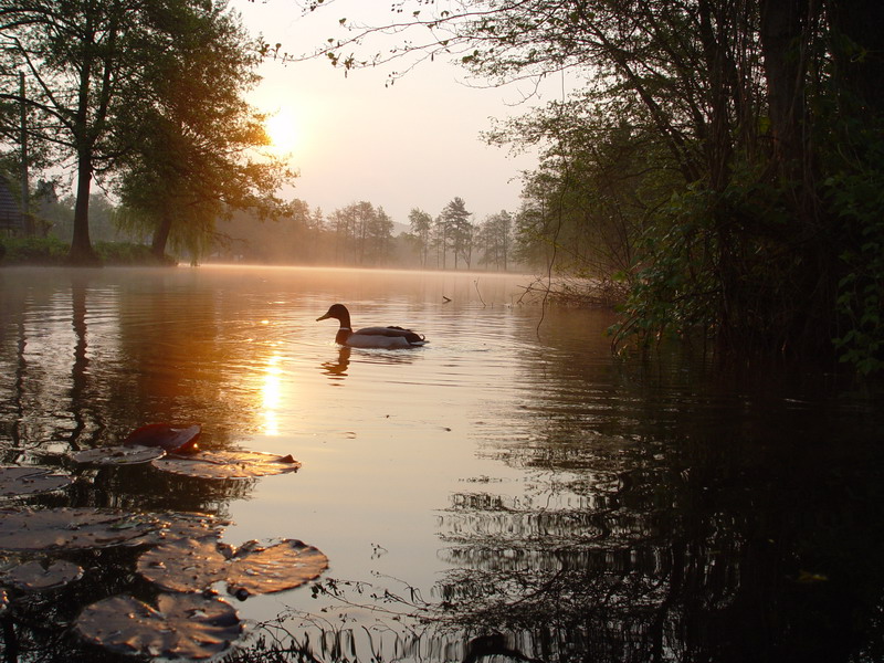 Ubytování u Bergmannů foto 2