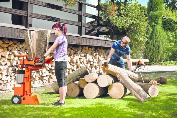Mountfield foto 6